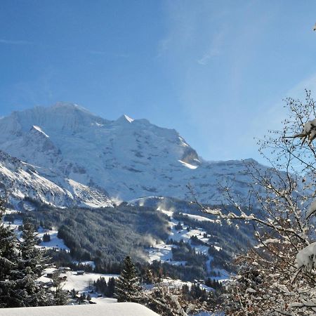 Apartment Bergfrieden By Interhome Wengen Eksteriør bilde